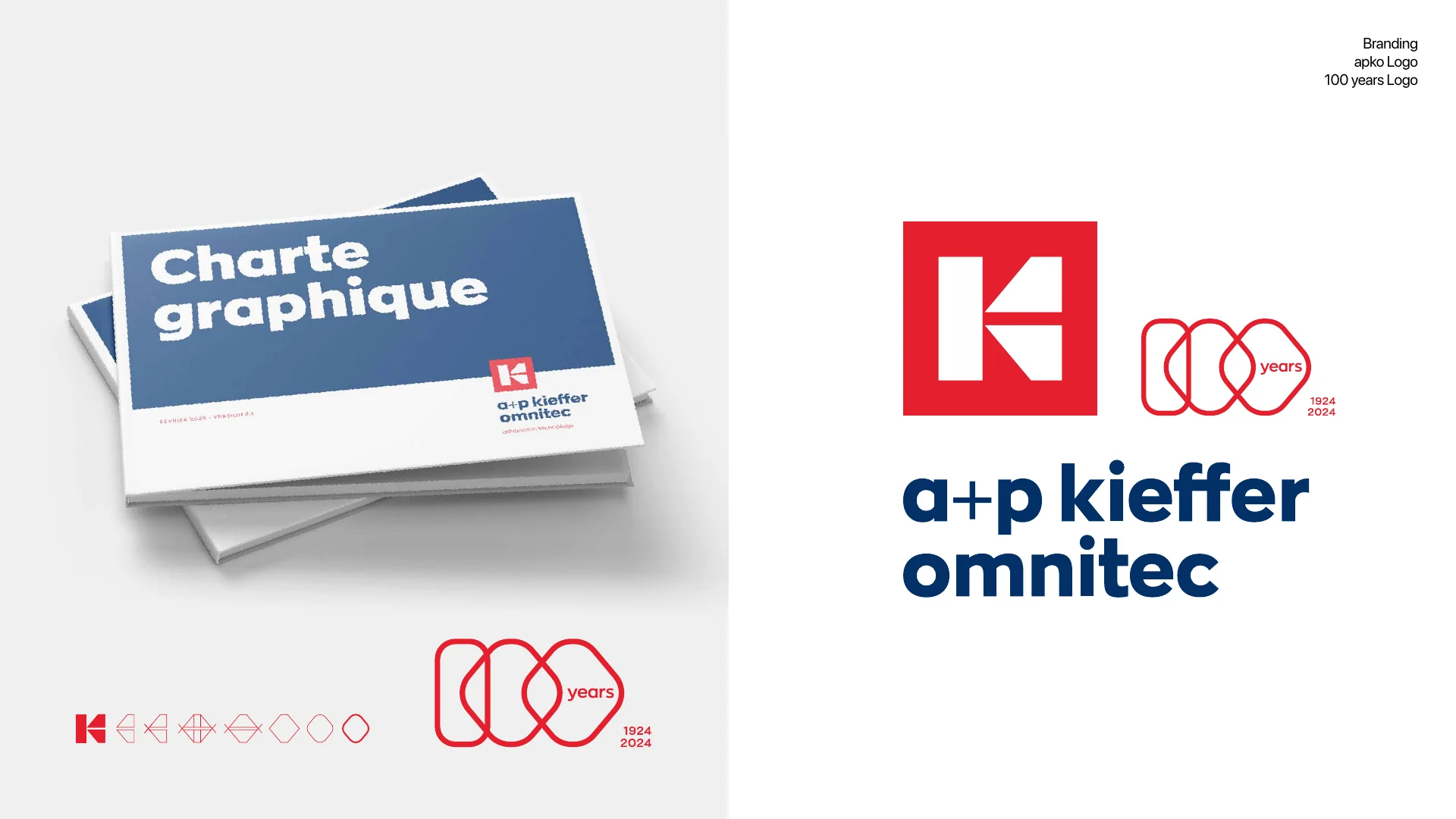 Vizualab Branding — project 1, Senior Art Director portfolio