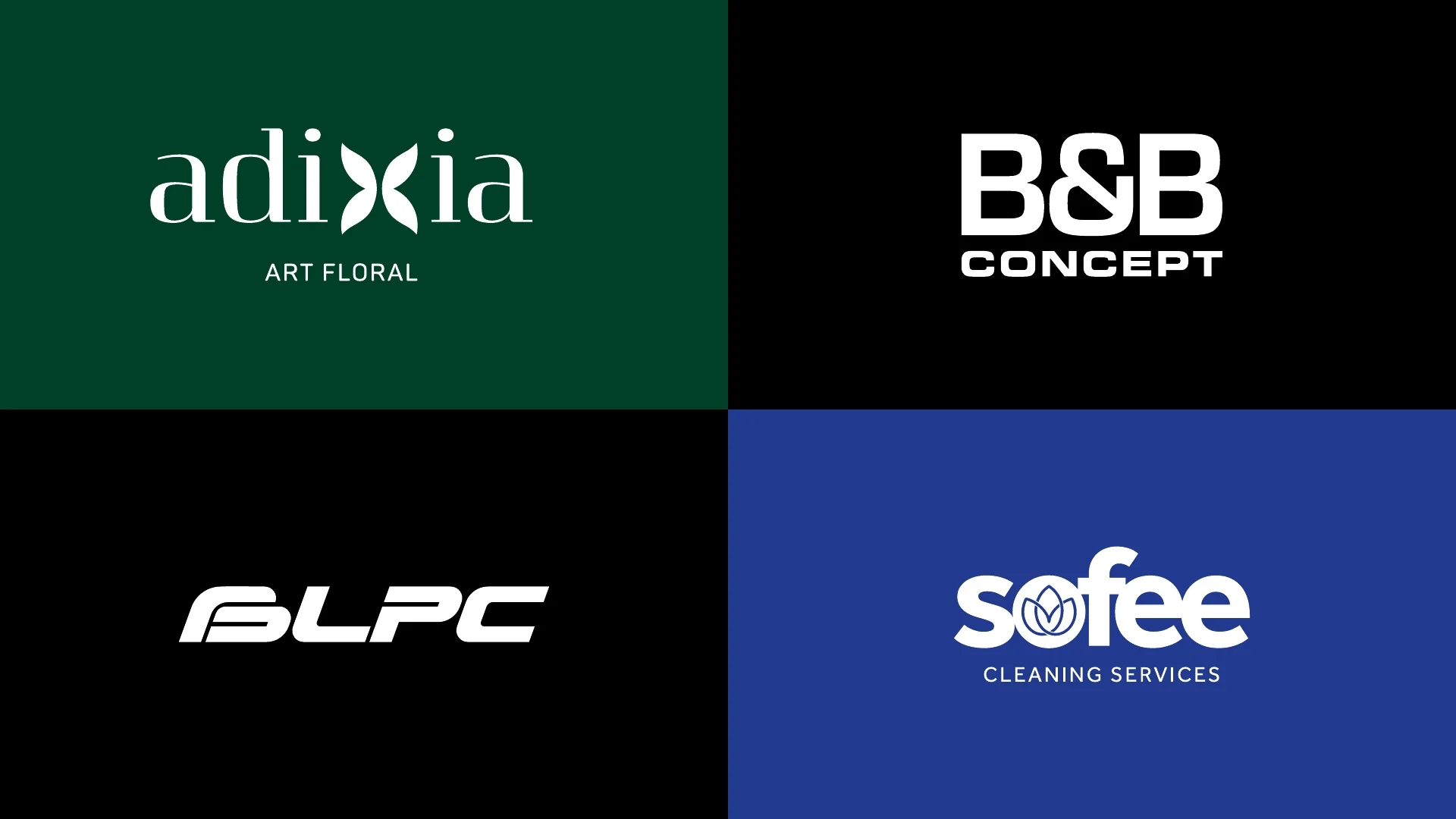 Vizualab Freelance — project 1, Senior Art Director portfolio